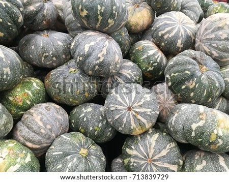 piles of fresh green pumpkin as the background picture