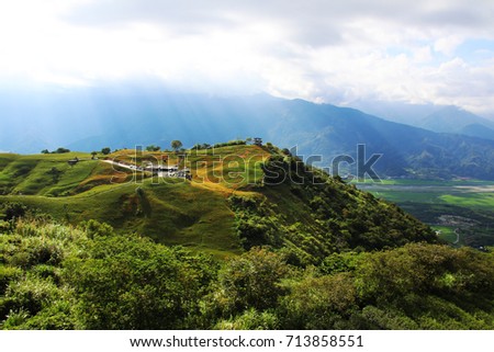 Beautiful scenery of daylily flowers with village and mountains in a sunny day