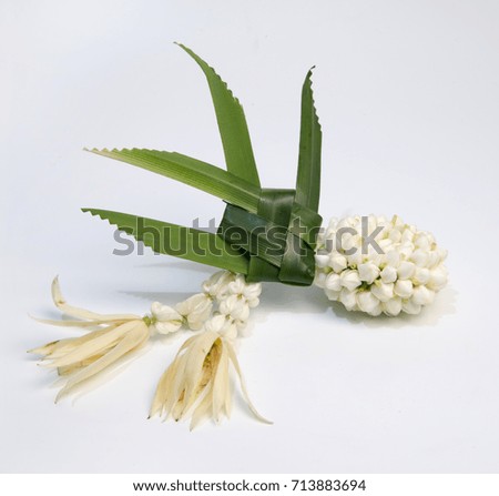 Fresh flower steering wheel on white background