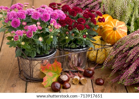 Autumnal decoration with heather