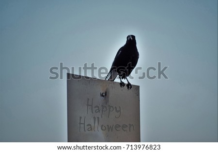 Happy Halloween, Crow sitting on sign post