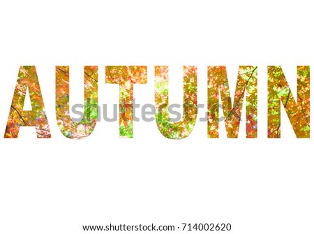 Autumn letter sign with photo background 