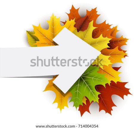White autumn card with colorful maple leaves and arrow. Vector illustration.