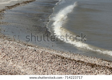 Landscape with sea view, waves and sea shells,  photographed in Gura Portitei, Romania, in a summer day
