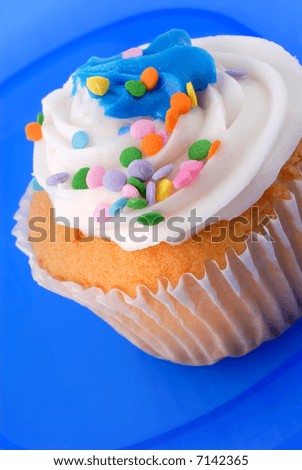 Vanilla Party Cup Cake On A Blue Plastic Plate