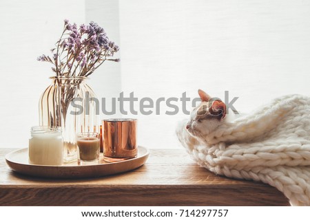 Ginger kitten sleeping on knitted woolen sweater. Wooden tray with home decor near the window. Fall weekend cozy and hygge concept. Royalty-Free Stock Photo #714297757