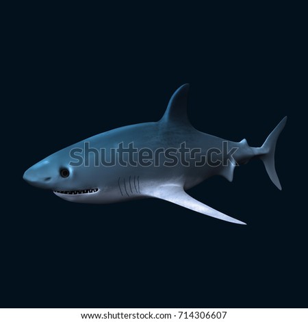 shark 3d 