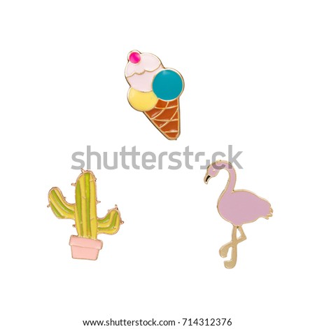 Brooches for clothes set cactus flamingo ice cream
