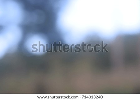 Blur and Bokeh Light in Nature 