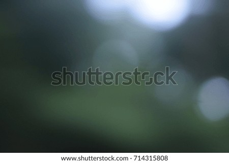 Blur and Bokeh Light in Nature