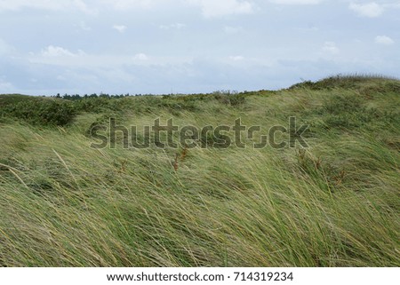 texel dunes