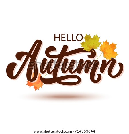 Hello Autumn hand lettering, custom calligraphy with maple leaves on white background. Vector illustration.