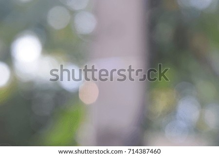 ?Blur and Bokeh Light in Nature 