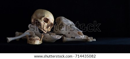 Still Life with Human skull and Animal skull on pile of bone in dark Halloween night / Selective focus and space for texts, adjustment size for header, banner, cover

