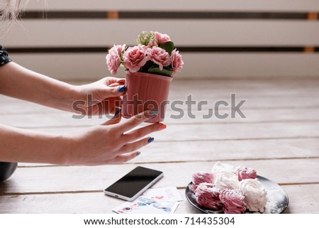 Process of decoration for food photo of sweets. Colorful zephyrs and crimson roses with smartphone on wooden backdrop, delicious confectionery and gourmet cookies photography