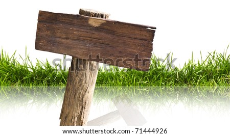 Wood sign and grass with reflection isolated on a white background.