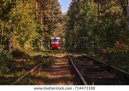 Tramway to nature : colorful tram and railways in forest