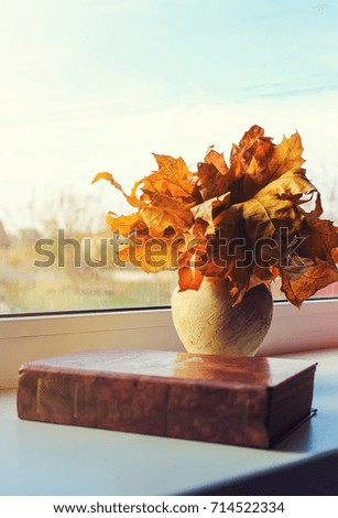 Autumn leaves and a book. Selective focus. 