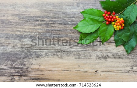 Leafs and red fruits on wooden background
