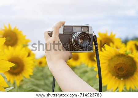 Close up hand holding film camera for take a photo of yourself with beautiful sunflowers field in people traveling concept
