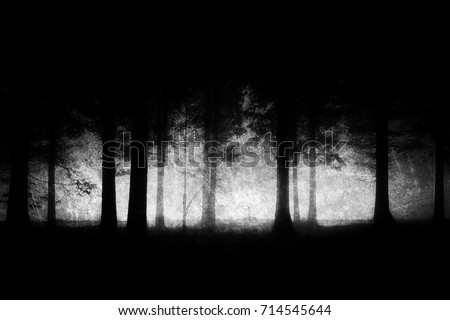 dark and scary forest with grungy textures