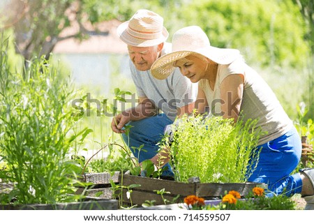 Happy healthy seniors gardening
