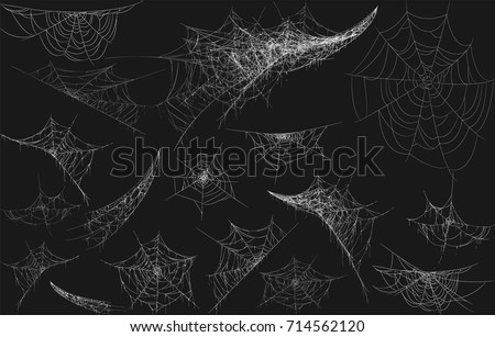 Collection of Cobweb, isolated on black, transparent background. Spiderweb for Halloween design. Spider web elements,spooky, scary, horror halloween decor. Hand drawn silhouette, vector illustration Royalty-Free Stock Photo #714562120