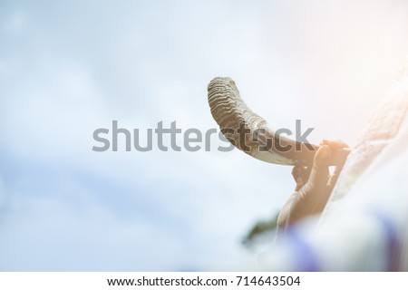 Jewish man in Tallit blowing the Shofar (horn) of Rosh Hashanah (New Year Jew).Religious and Holidays symbol concept. Royalty-Free Stock Photo #714643504