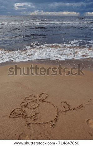 cartoon pig drawing on sand