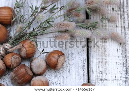 Hazelnuts on wooden background with copy space