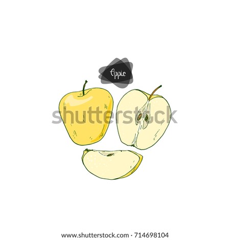 Hand drawn sketch style ripe, sliced and half yellow apple on white background. Color illustration. 