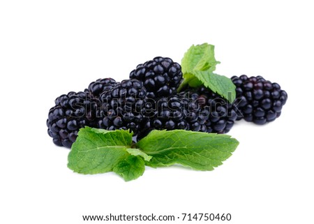 A picture of a heap of ripe, juicy, natural blackberries, isolated on a white background. A pile of healthful and organic berries with fresh leaves of mint. Raw saturated black berries.