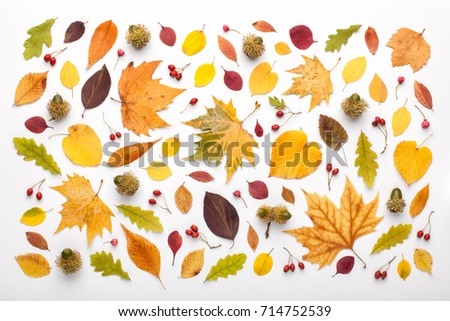 Autumn pattern made of leaves and acorns on white background. Flat lay, top view.