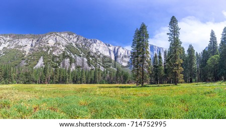 Yosemite clearing panoramic