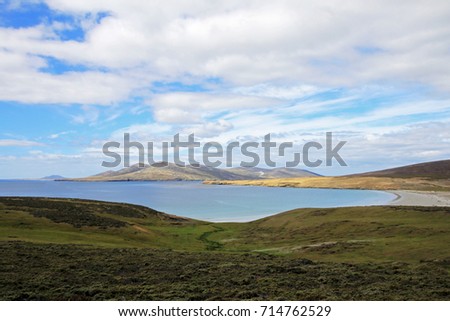 Coastline, beach at Saunders Island, Falkland Islands, Islas Malvinas