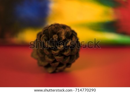 Brown color of pine cones on colorful background for Christmas decoration./ Christmas decoration.