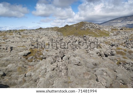 Lava field (basalt) covered by mosses and lichens. Picture taken near to Snaefellsjokull volcano (at the right of the picture) in Iceland.