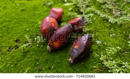 blur image of Fresh palm fruit over Green moss on rock floor with nature  