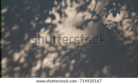 haunted tree shadow on wall
