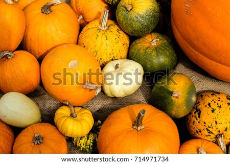 Various pumpkins
