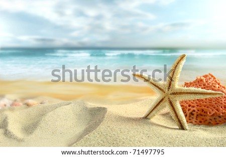Starfish on the Beach.