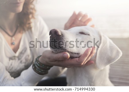 woman gently caresses her dog Royalty-Free Stock Photo #714994330