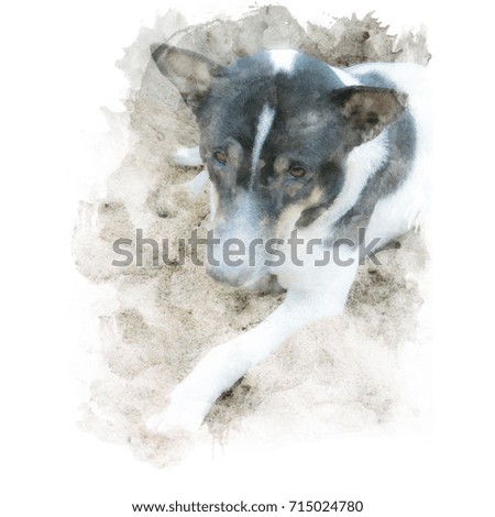 Black and white local thai dog sit on sand. Watercolor painting (retouch).