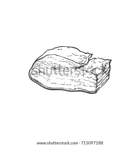 vector sketch lard meat. Isolated illustration on a white background. Sausage and meat types concept