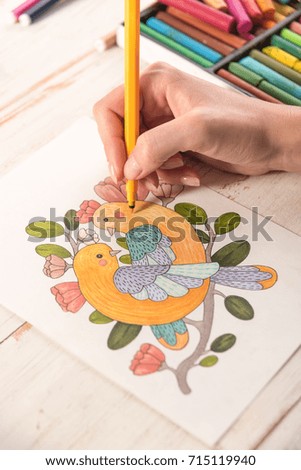 Top view of artist painting beautiful design picture of birds with markers on paper