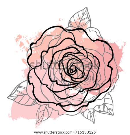 Beautiful rose drawing on beige grunge background. Hand drawn vector highly detailed line art illustration over watercolor painted texture. Wedding, beauty, tattoo outline design element.