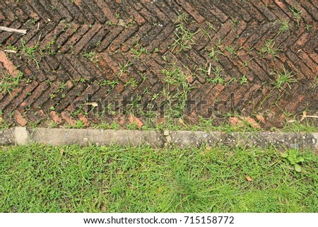 Red brick and green grass
