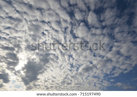 Beautiful cloud in tropical zone, dense cloud on good weather day, white and blue background.