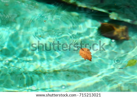 Yellow fallen leaf  in clear turquoise blue water. Pool of fountain in cyan blue colors with waves and light spots.