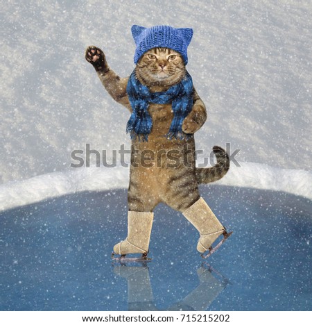 The cat in knitted a hat and a scarf is skating. It's snowing.